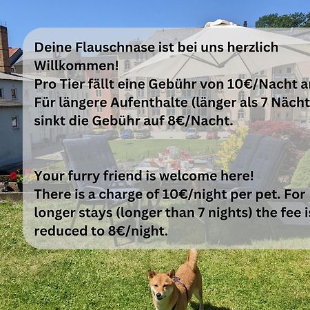 F4 - Urlaubsmagie - Grosse Wohnung Fuer Bis Zu 10 Personen Sebnitz Dış mekan fotoğraf