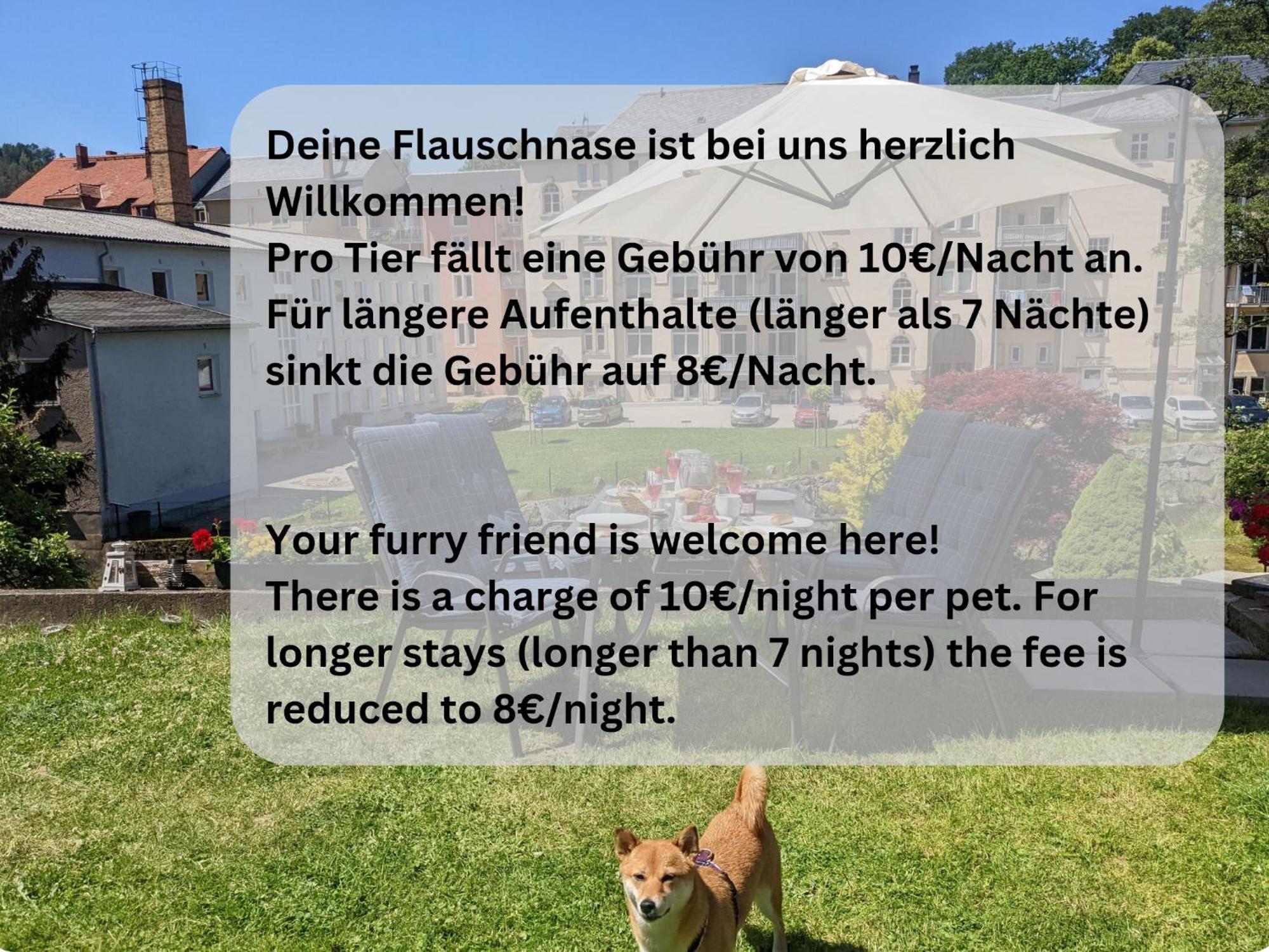 F4 - Urlaubsmagie - Grosse Wohnung Fuer Bis Zu 10 Personen Sebnitz Dış mekan fotoğraf
